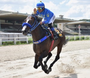 TAkashi 19.12 sózinho