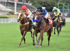 Ultimate Warrior 27.12