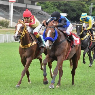 Ultimate Warrior volta a vencer em Cidade Jardim