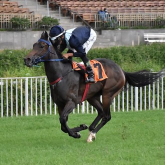 Unchain My Heart encanta em sua 2ª vitória seguida