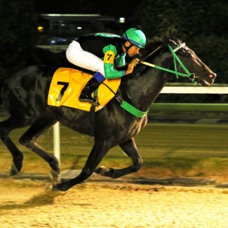 Edisinho vence na Gávea e dá a primeira vitória ao Haras Cariri Pe em produtos criados na Haras Santarém