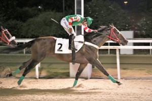 Nergy of Tiger 26.01