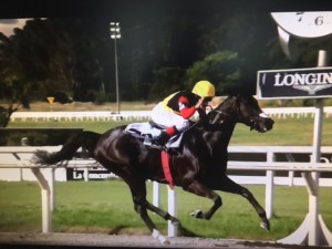 RAinah Pioneira 17.01 chegada