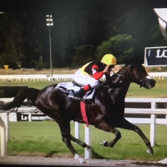 Rainha Pioneira vence o velocidade do Festival GP Ramirez nem Maroñas