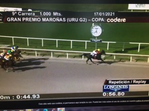 RAinha Pioneira 17.01