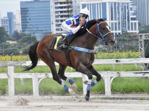 Royal Forestry 09.01