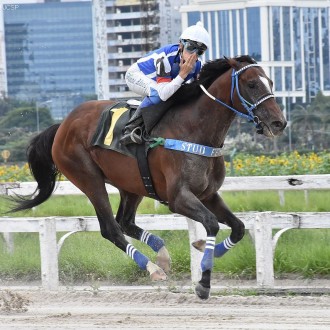 Royal Forestry obtém sua 12ª vitória