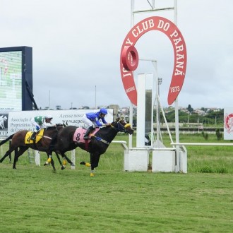 Tarsílio vence Handicap disputado na grama no Tarumã