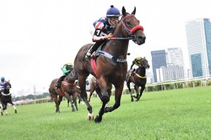 Tácio 09.01 PE Verão