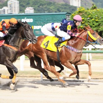 YevgueNi Oneguin e Nergy of Tiger criados no Santarém vencem na Gávea