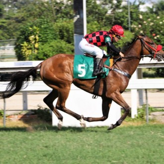 Ginger Touch vence a 3ª carreira