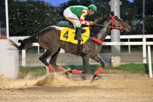 Nergy of Tiger 23.02