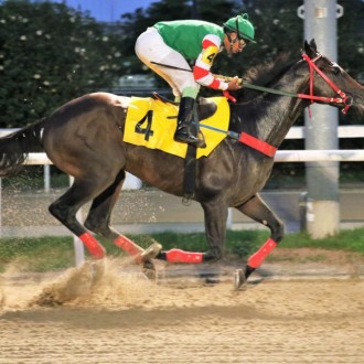 Nergy of Tiger volta a vencer na Gávea