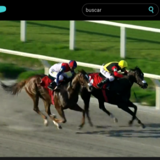 Rainha Pioneira vence sua 15ª carreira no Uruguai