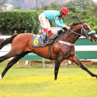 Regnum conquista 4ª carreira