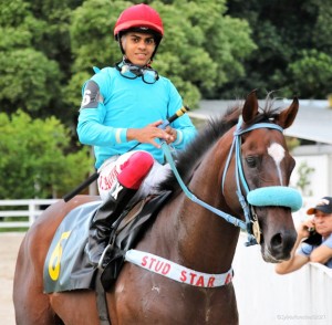 Regnum 21.02 paddock