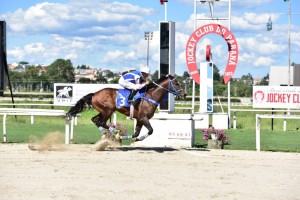 Royal Forestry 05.02 chegada