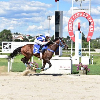 Royal Forestry vence sua 13ª carreira vencendo a Prova Especial Ubaldo Siqueira