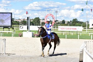 Royal Forestry 05.02 paddock