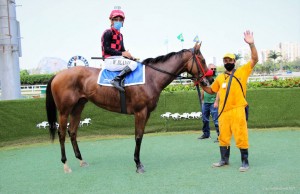 Ginger Touch 13.03 foto com cavalariço