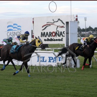 Pushkin vence 7ª carreira em Maroñas