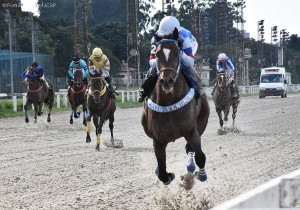 Royal Forestry 28.03.21