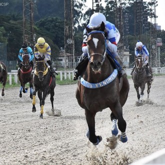 Royal Forestry vence sua 14ª carreira e bate o recorde dos 2200 areia