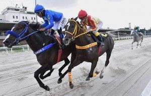 TAkashi 21.03 chegada