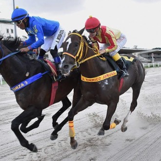 Takashi conquista sua 12ª vitória na Prova Especial Renato Junqueira Neto