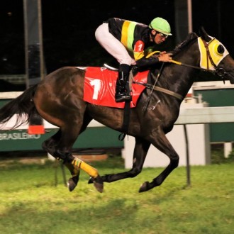 Tactical Speed vence na Gávea