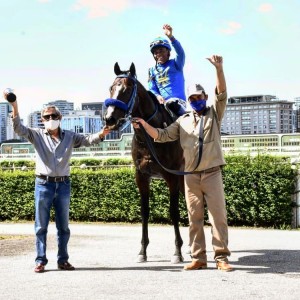 Takashi 21.03 treinador e cavalariço