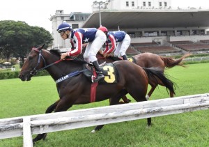 Tácio 13.03 chegada