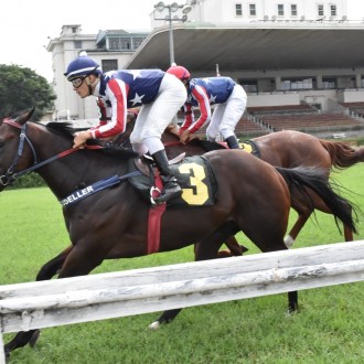 Tácio vence a 8ª carreira em CJ e confirma ser um dos principais velocistas do Turfe Paulistano