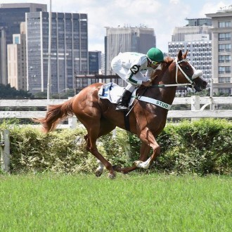 Venatrix vence em Cidade Jardim