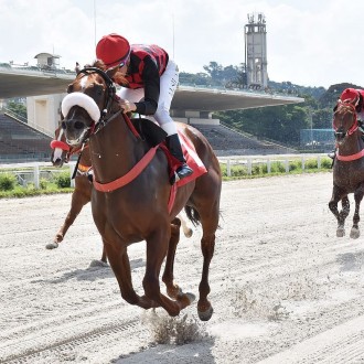 Go Daddy vence de ponta à ponta em Cidade Jardim