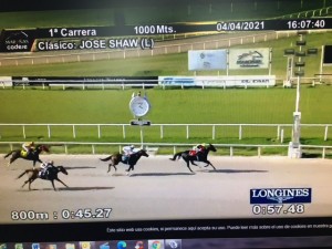 RAinha Pioneira 04.04 chegada