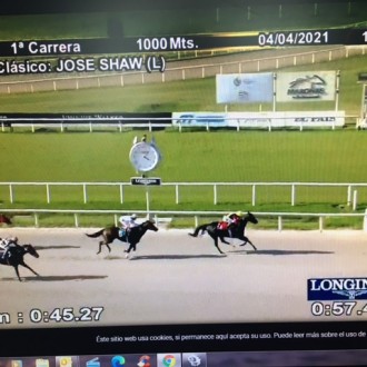 Rainha Pioneira vence 16ª vitória no Uruguai