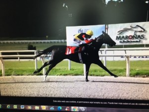 RAinha Pioneira 04.04 fotochart