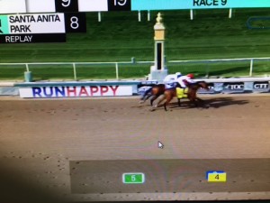 Royal Ship 17.02 chegada