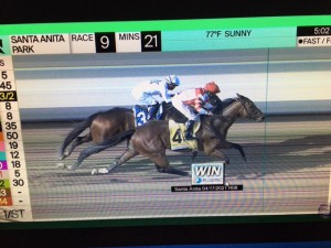 Royal Ship 17.04 foto