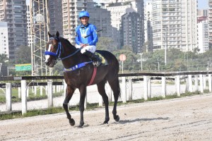 TAkashi 25.04 sózinho