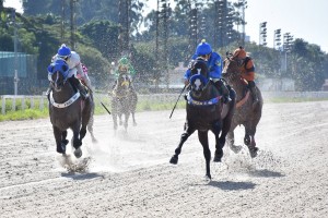 Takashi 25.04 antes chegada