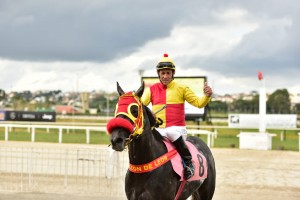 Venetial Pearl 16.04 padock