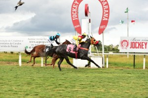 Venetian Pearl 16.04