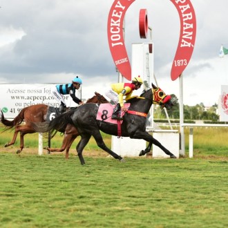 Venetian Pearl (Tiger Heart) estréia com vitória no Tarumã