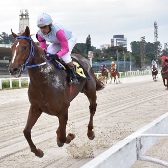 Vijay (Pioneering) confirma treinos na areia e vence por abandono