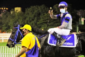 Albioni 18.05 cavalariço