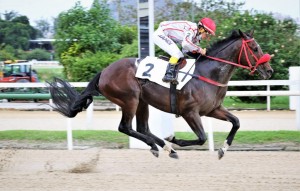 American Reason 18.05