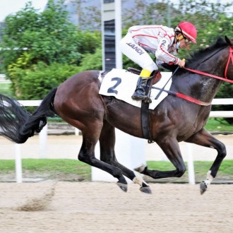 Pensionistas do Santarém vencem na Gávea, American Reason vence a 4ª e Albioni vence a primeira