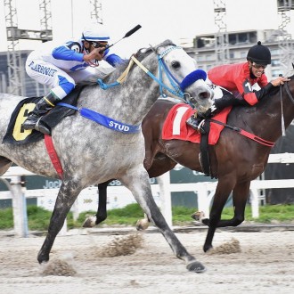 Sicut (Tiger Heart) vence a 5ª carreira em Cidade Jardim